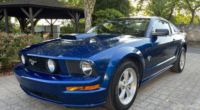 Ford Mustang GT 45th Anniversary Edition 2008 – 66800 PLN – Kórnik